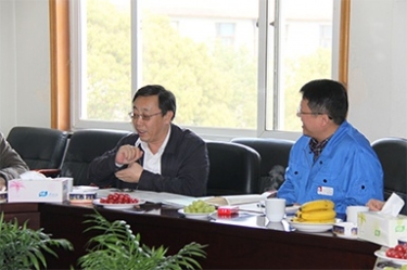 2013年3月18日，时任国家工信部节能司副司长杨铁生一行莅临公司参观指导