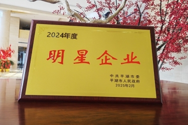 新春新景新气象 | 金彩汇官网纸业在平湖三干大会上喜摘荣誉！